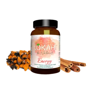 Lokahi-foto-Energy