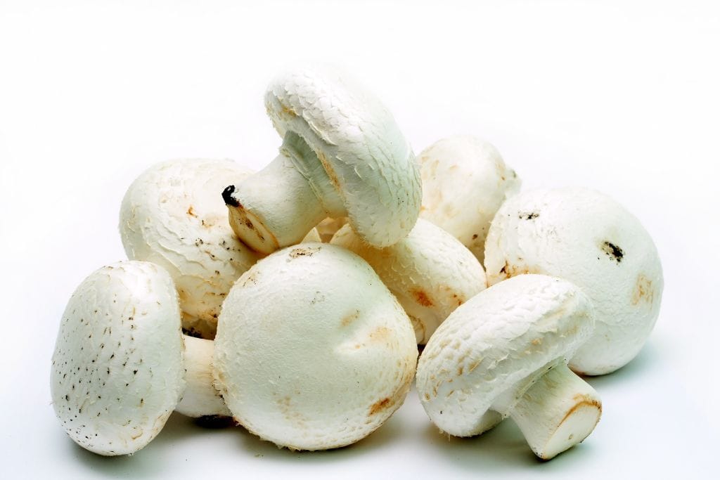 Agaricus Blazei: proprietà e benefici
